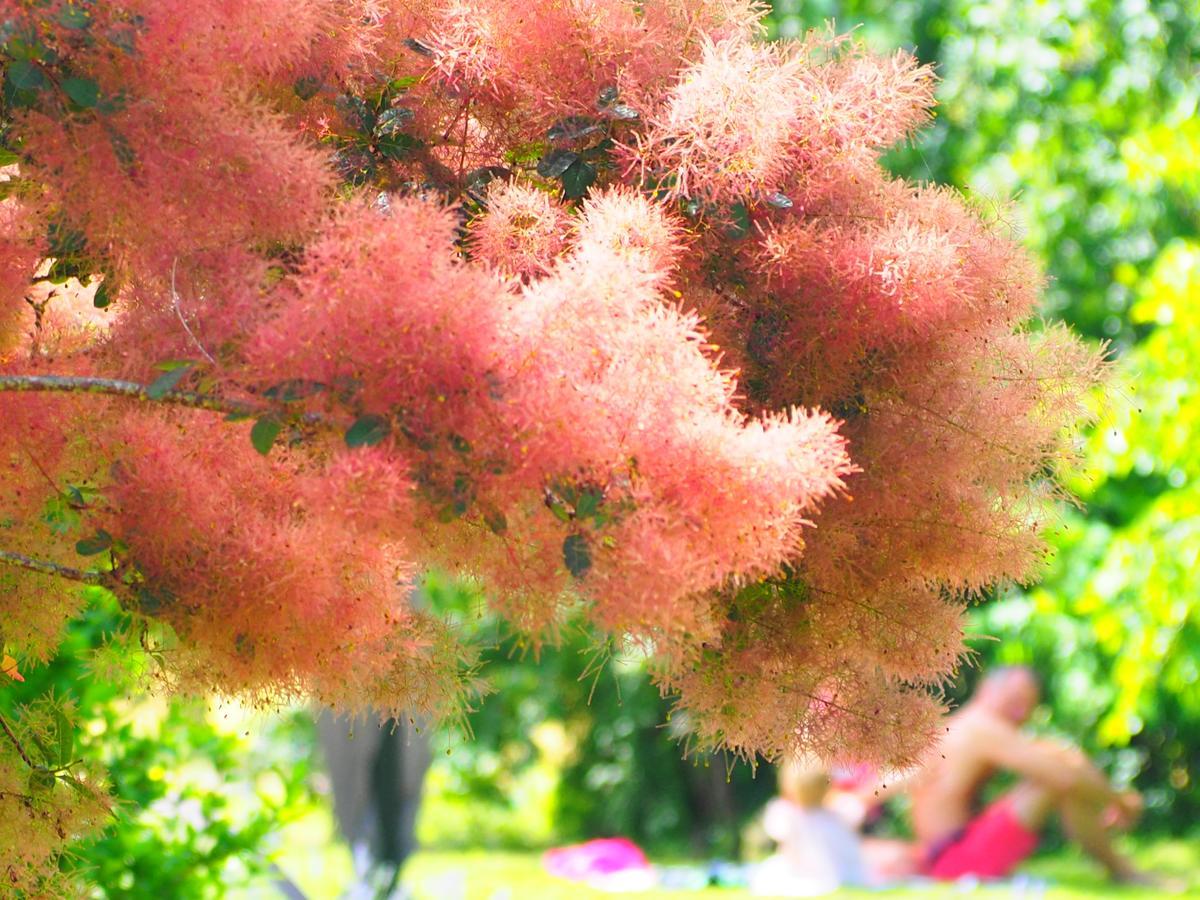 La Belle Verte Grignols  外观 照片
