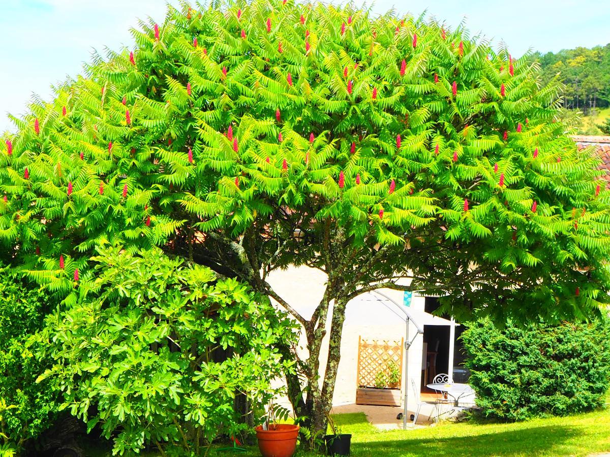 La Belle Verte Grignols  外观 照片